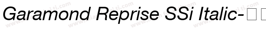 Garamond Reprise SSi Italic字体转换